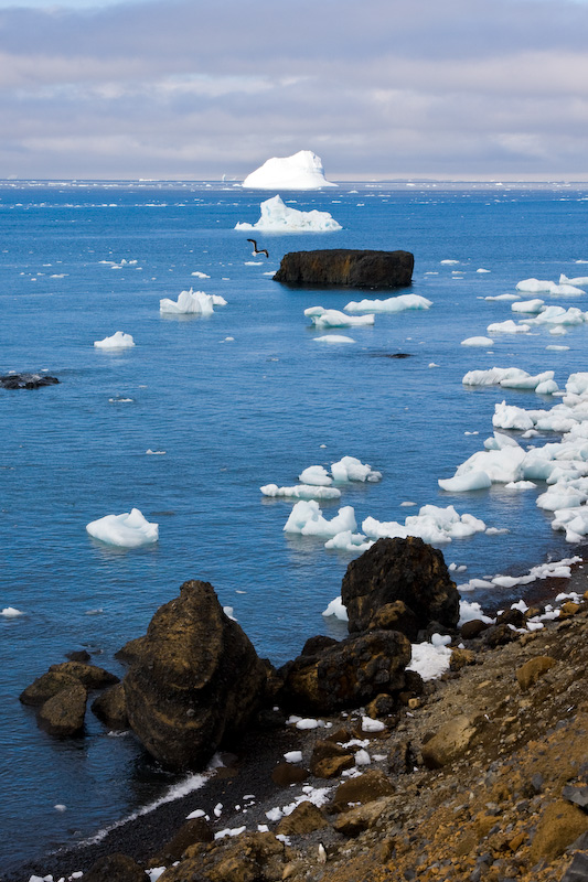 Icebergs And Seastacks